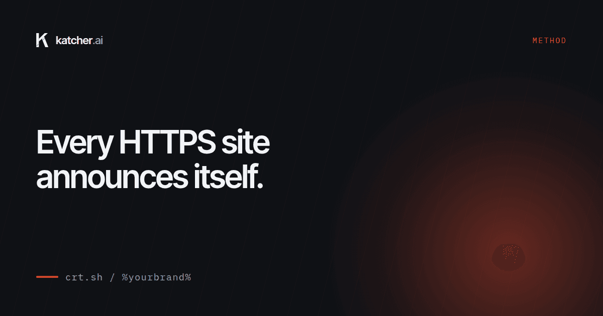 How to find every domain that looks like yours